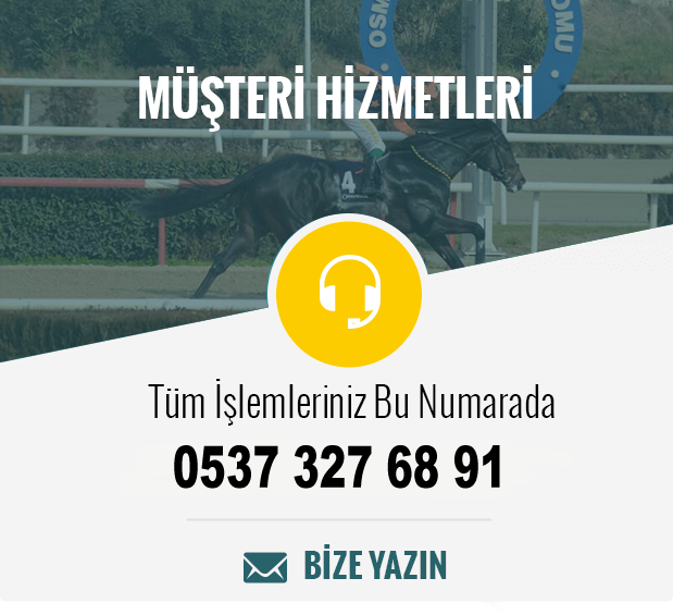 Bize Yazın